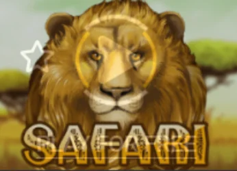 safari